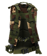 Load image into Gallery viewer, Hiking and Camping 25L Molle Backpack / Range Bag