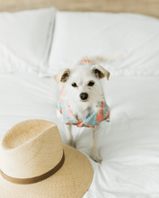 Load image into Gallery viewer, Washed Out BBQ Shirt for Pups + People