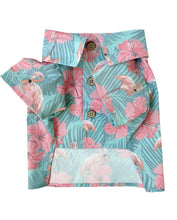 Load image into Gallery viewer, Washed Out BBQ Shirt for Pups + People